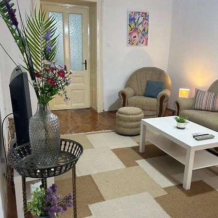 Nf'S Home Lovely Apartment In Heart Of Sarajevo Luaran gambar