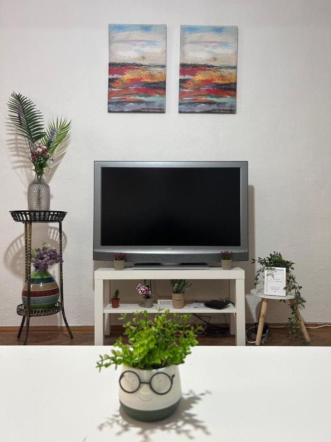 Nf'S Home Lovely Apartment In Heart Of Sarajevo Luaran gambar