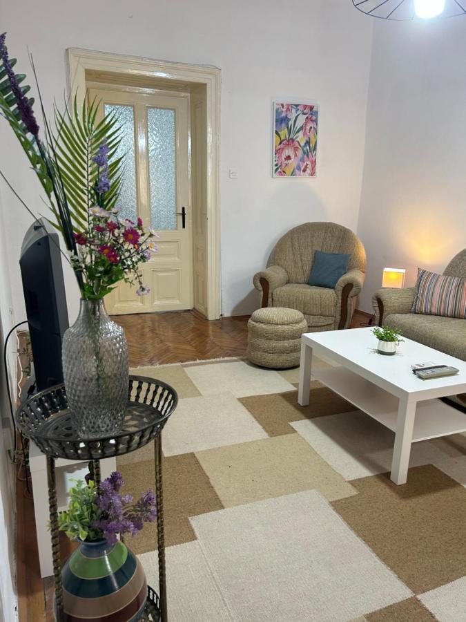 Nf'S Home Lovely Apartment In Heart Of Sarajevo Luaran gambar